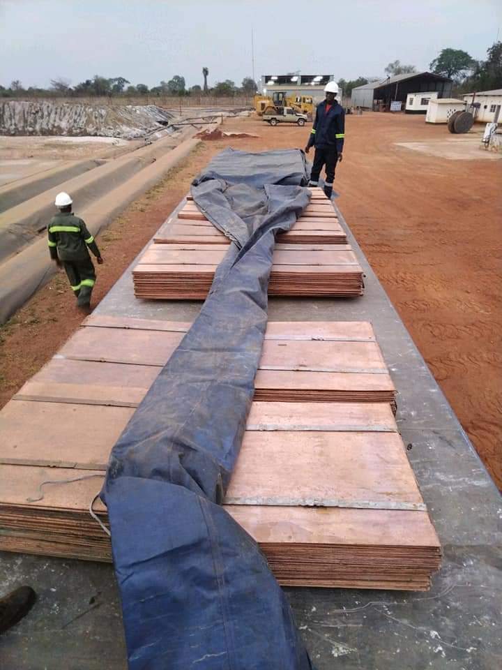 Logistics and Maritime Freight