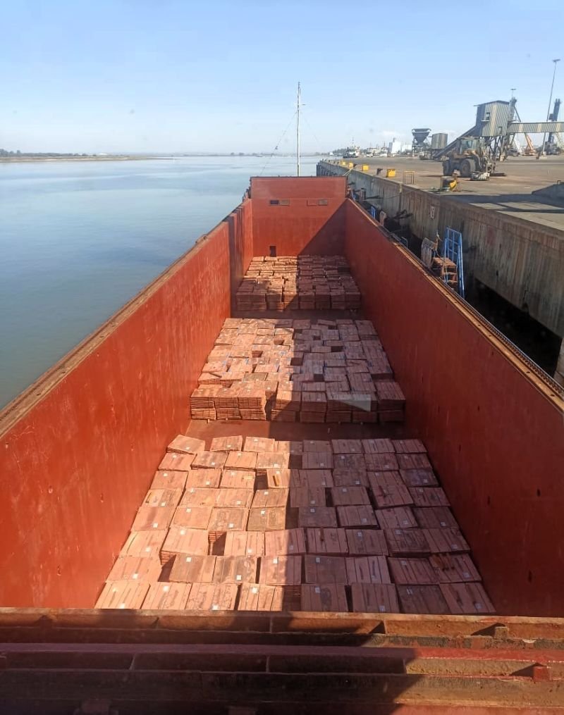 Global Shipping and Logistics